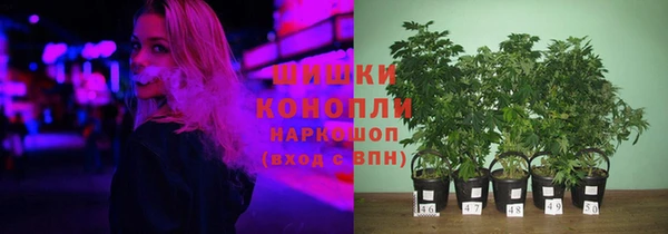 хмурый Абинск