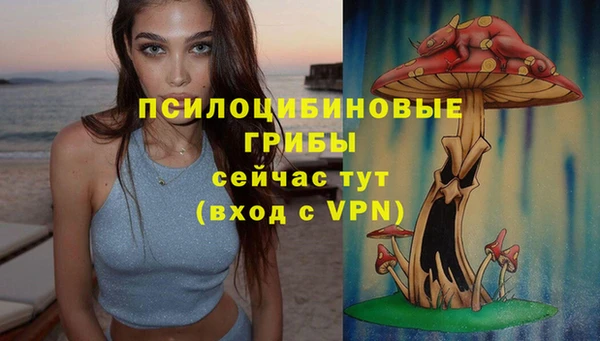 хмурый Абинск